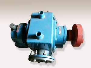 山東羅茨保溫泵